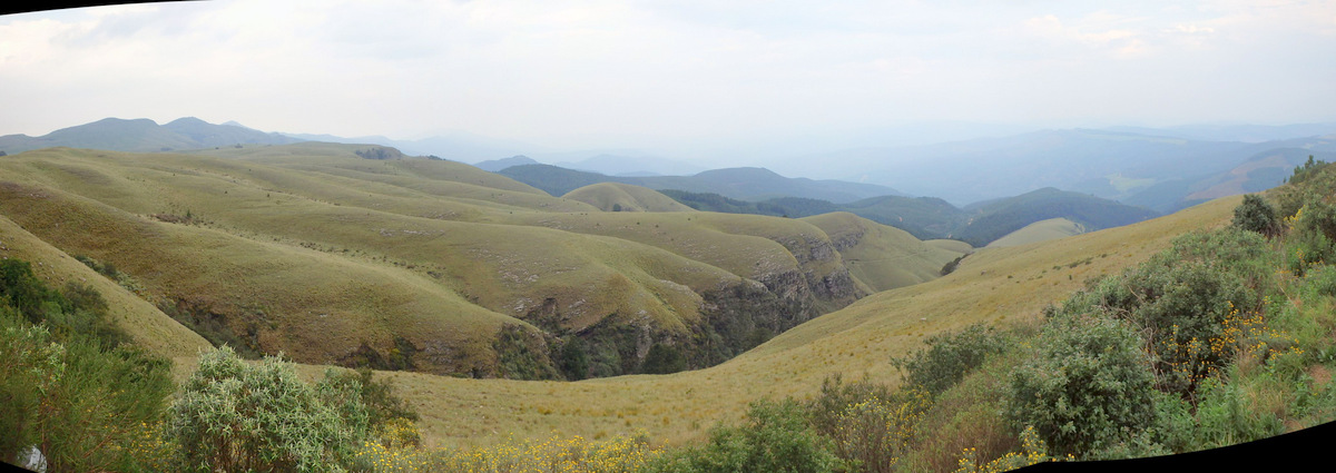 The commanding view north from Long Tom Pass.